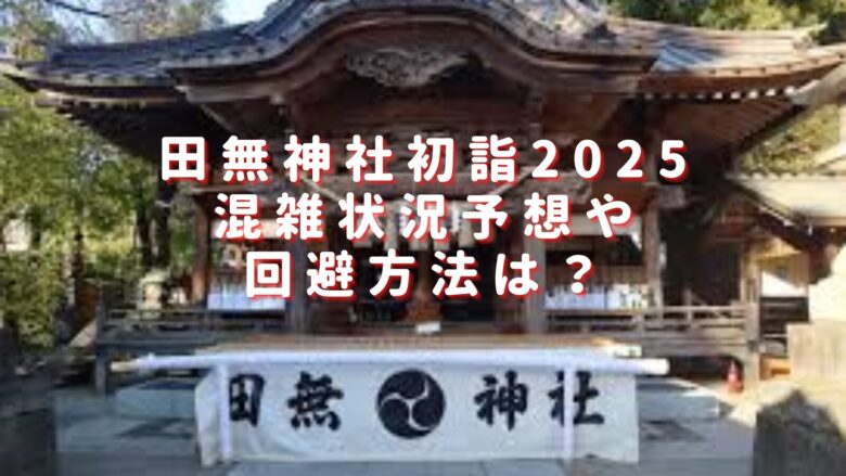 田無神社初詣2025混雑状況予想は？穴場駐車場やおすすめ屋台も紹介