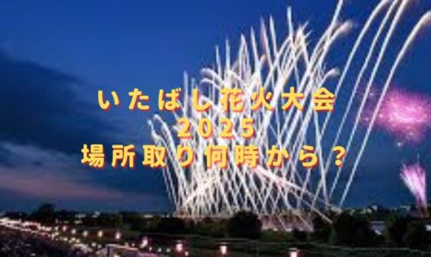 いたばし花火大会2025場所取り何時から？無料席おすすめスポットを紹介