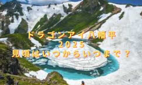ドラゴンアイ八幡平2025見頃はいつまで？混雑状況や所要時間は？