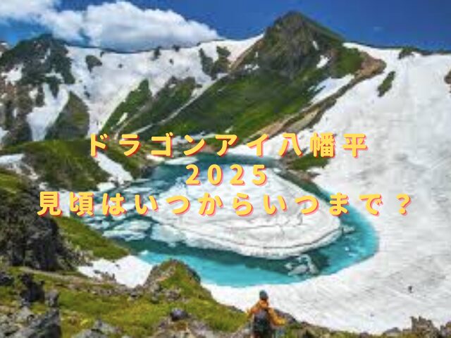 ドラゴンアイ八幡平2025見頃はいつまで？混雑状況や所要時間は？