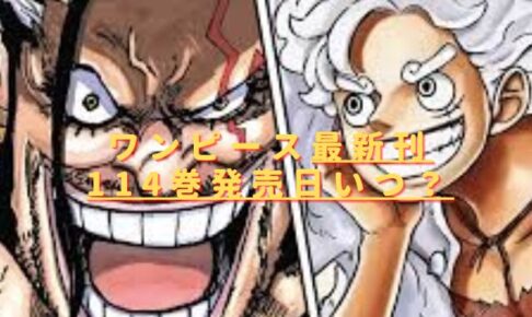 ワンピース114巻の発売日はいつ？最新刊の収録話をネタバレ考察！