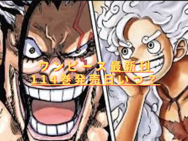 ワンピース114巻の発売日はいつ?最新刊の収録話をネタバレ考察!