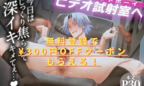 穴付個室元ヤンカントボーイビデオ試射室へhitomiやrawで無料？違法サイトは危険？