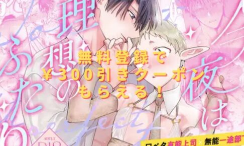 Tonight is the perfect time.～今夜は理想のふたり～♡hitomやrawは危険？無料で読める？