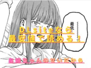 お姉ちゃんのせいだから