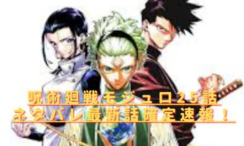 呪術廻戦モジュロ25話ネタバレ最新話確定速報！虎杖とパンダは何を語り合う？