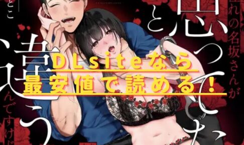 憧れの名坂さんが思ってたのと違うんですけど…hitomiやrawで無料？最安値のサイトは？