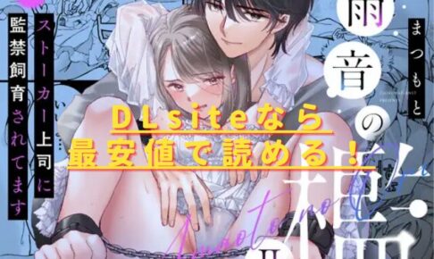 雨音の檻II～ストーカー上司に監禁飼育されてますhitomiやrawは危険？最安値はどこ？