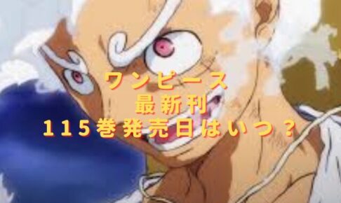 ワンピース115巻の発売日はいつ？最新刊の収録話をネタバレ考察！