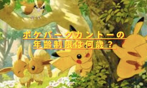 ポケパークカントーの年齢制限は5歳？フォレストの対象は何歳から？